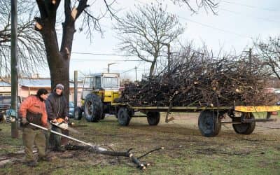 El Municipio realizó un operativo de limpieza en el Barrio Fonavi