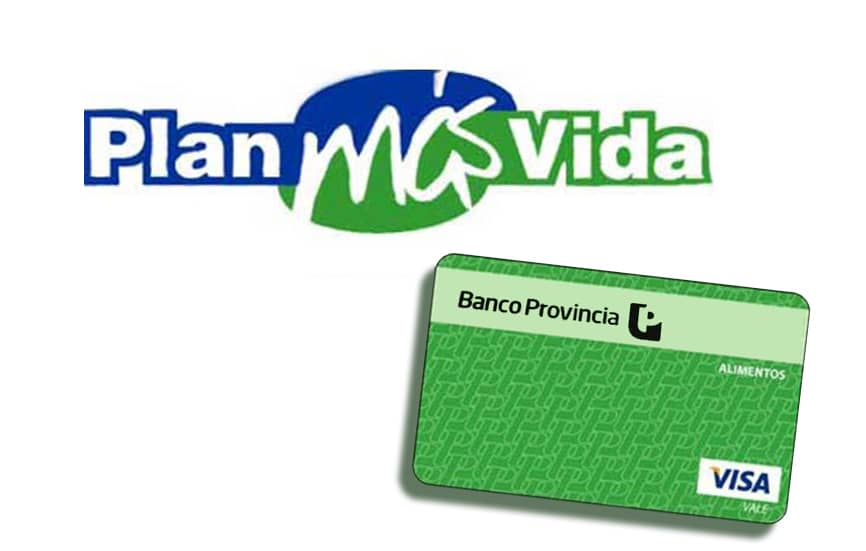Plan Más vida: las beneficiarias deben presentar documentación