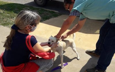CAMPAÑA DE VACUNACIÓN ANTIRRÁBICA POR LOS BARRIOS: ESTA MAÑANA  SE VACUNARON OTRAS 215 MASCOTAS MÁS EN EL SUM CHIQUITO TELLO