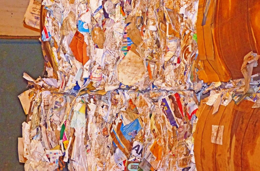 PROLIM: Venta de material reciclable de Agosto