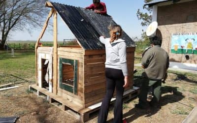 ESCUELAS RURALES VERDES: SE CONSTRUYÓ UNA CASITA DE JUEGOS EN LA EP Nº6 DE NUEVA CASTILLA
