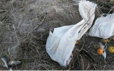 Se secuestraron hoy 150 metros de red de pesca en el Hinojo Chico