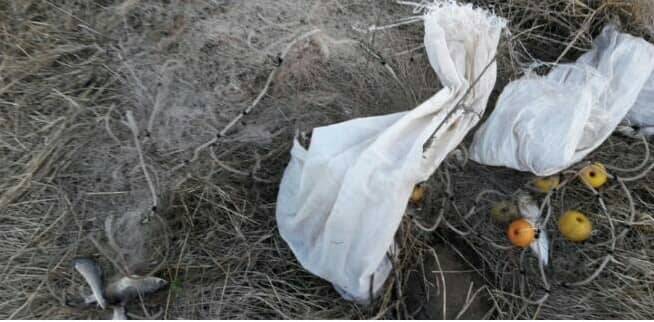 Se secuestraron hoy 150 metros de red de pesca en el Hinojo Chico