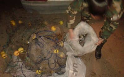 Se realizó un nuevo operativo contra la pesca clandestina