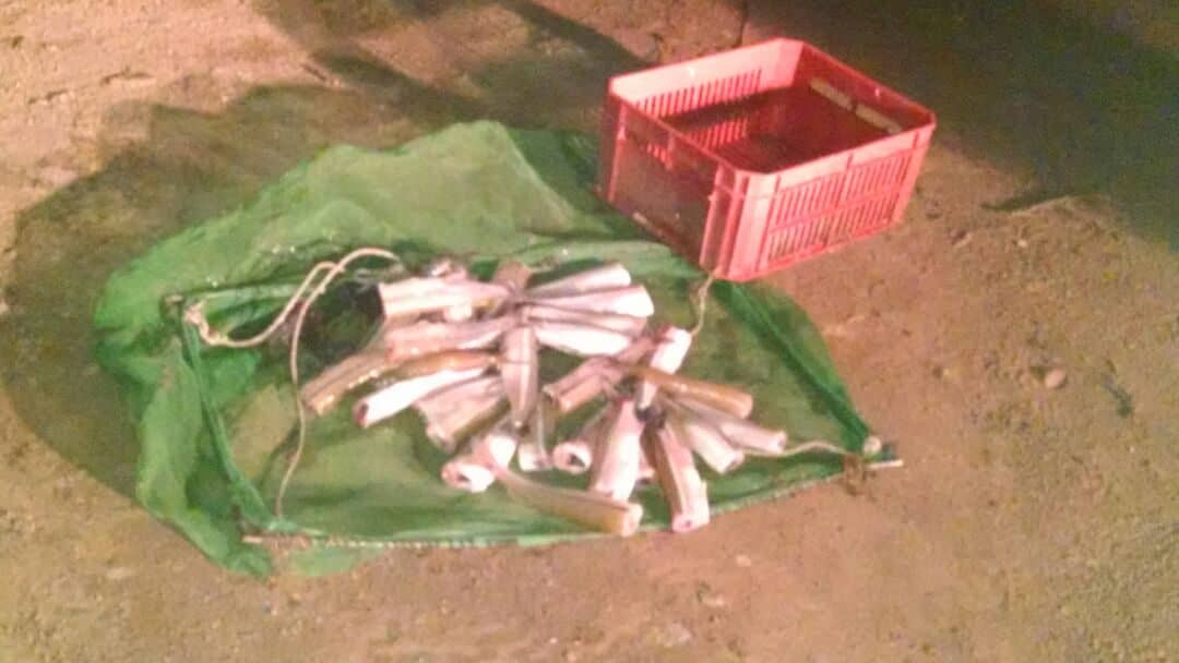 Nuevo operativo contra la pesca clandestina