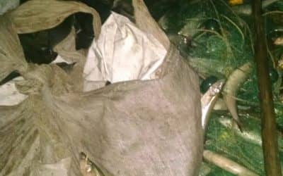 Se realizó otro operativo contra la pesca clandestina en Cuero de Zorro