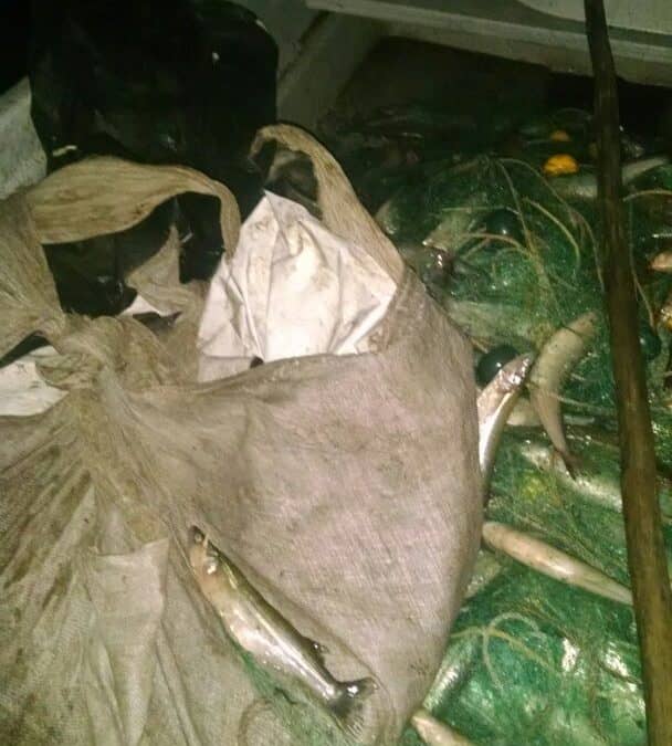 Se realizó otro operativo contra la pesca clandestina en Cuero de Zorro