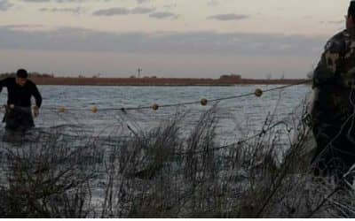 Pesca clandestina: secuestraron 130 metros de red y 15 kilos de pejerrey