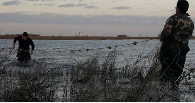 Pesca clandestina: secuestraron 130 metros de red y 15 kilos de pejerrey