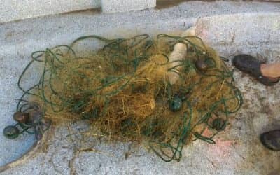 Operativo contra la pesca clandestina en Cuero de Zorro