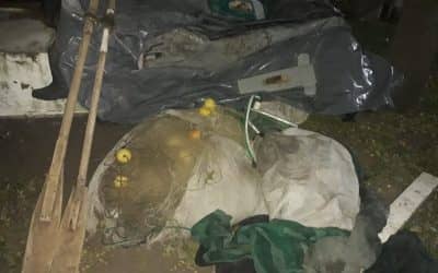 SE INCAUTARON 650 MTS. DE RED, 200 KGS. DE PEJERREY Y UN GOMÓN, EN UN OPERATIVO CONTRA LA PESCA CLANDESTINA