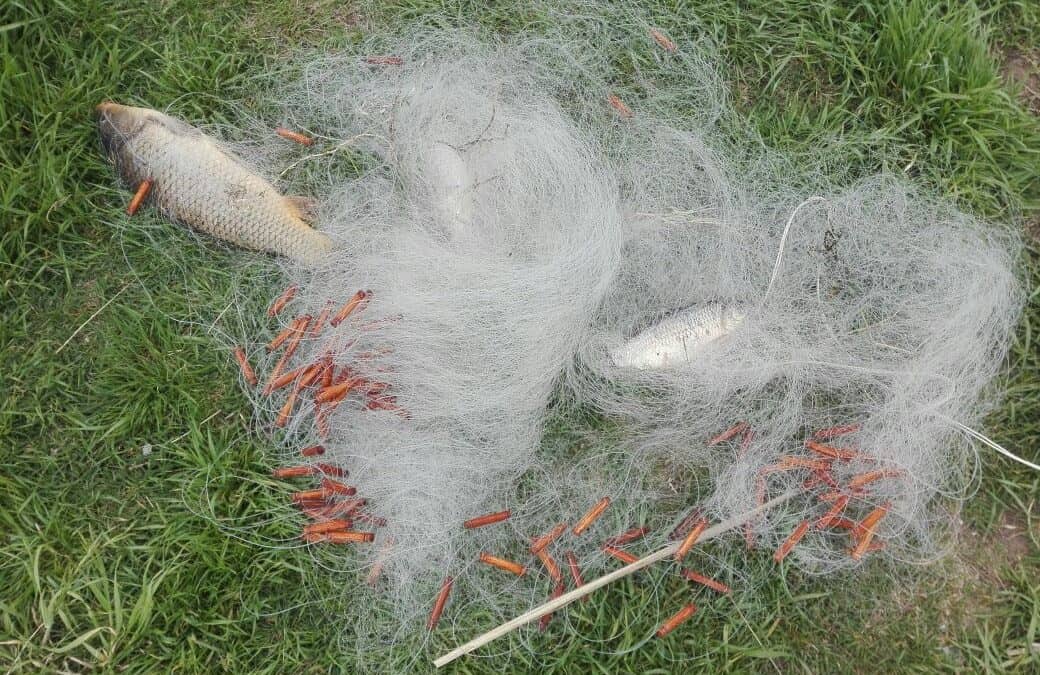 Nuevo operativo contra la pesca clandestina en Loma Alta