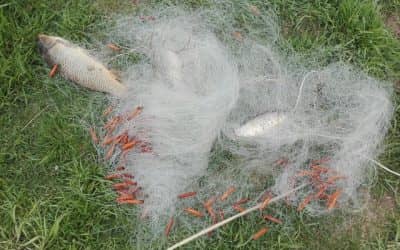 Nuevo operativo contra la pesca clandestina en Loma Alta