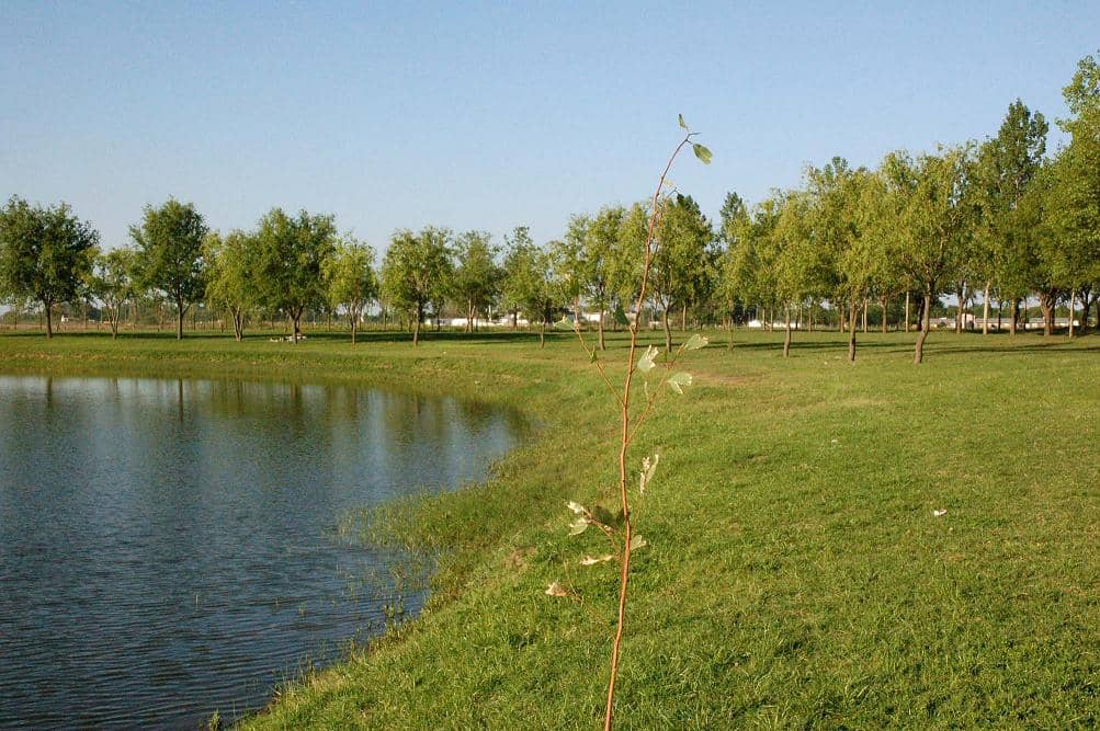 Limpieza en canales de desagües