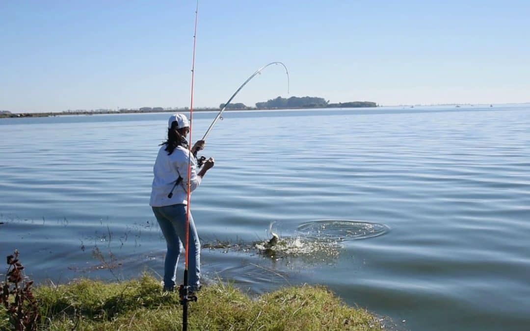 SE HABILITA DESDE MAÑANA LA PESCA DEPORTIVA EN EL HINOJO Y CUERO DE ZORRO, SÓLO DE COSTA Y CON ESTRICTAS MEDIDAS DE SEGURIDAD