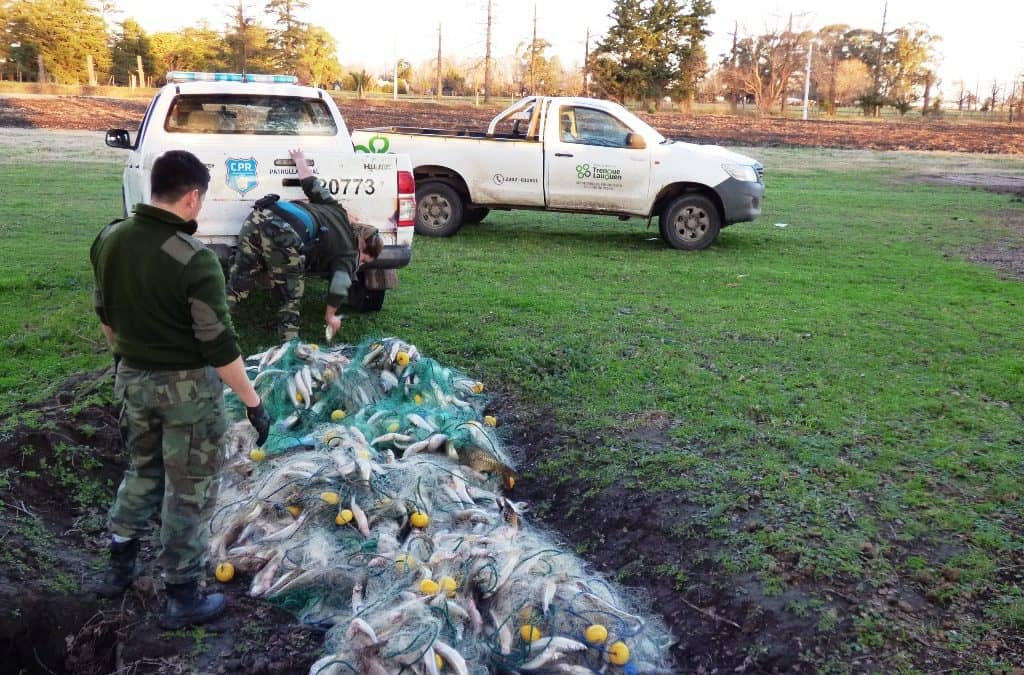 Pesca clandestina: decomisaron mil metros de red y más de 400 kilos de pejerrey