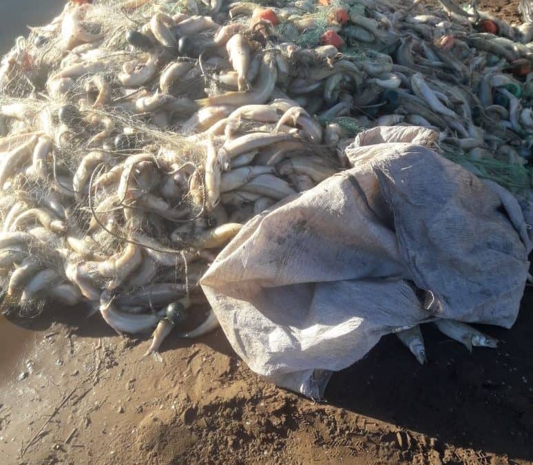 Pesca clandestina en Cuero de Zorro