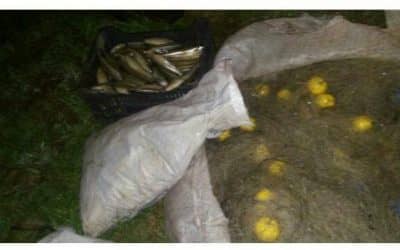 Se realizó un nuevo operativo contra la pesca clandestina