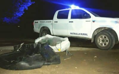 Decomisaron elementos de pesca clandestina en Cuero de Zorro