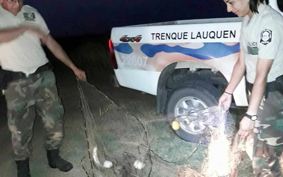 Se realizó un nuevo operativo de pesca en la laguna Hinojo Chico