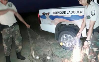 Se realizó un nuevo operativo de pesca en la laguna Hinojo Chico