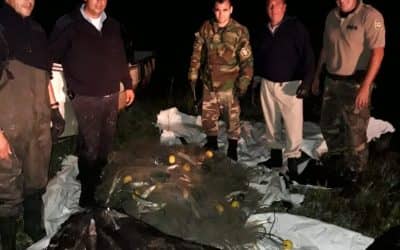 SECUESTRAN 350 METROS DE RED Y UNOS 130 KILOS DE PEJERREY DURANTE UNA RECORRIDA POR EL BAJO ZANGLA