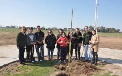 Se plantó un árbol en la placita del barrio La Lonja