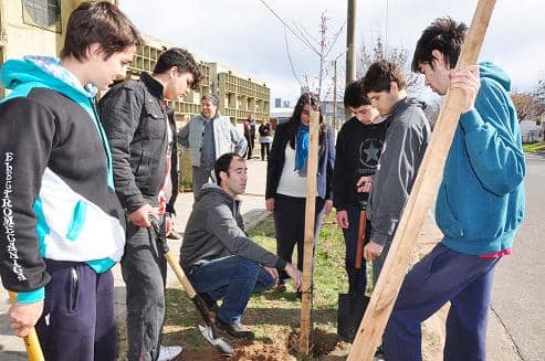 Plantaron 10 árboles en la Escuela Técnica
