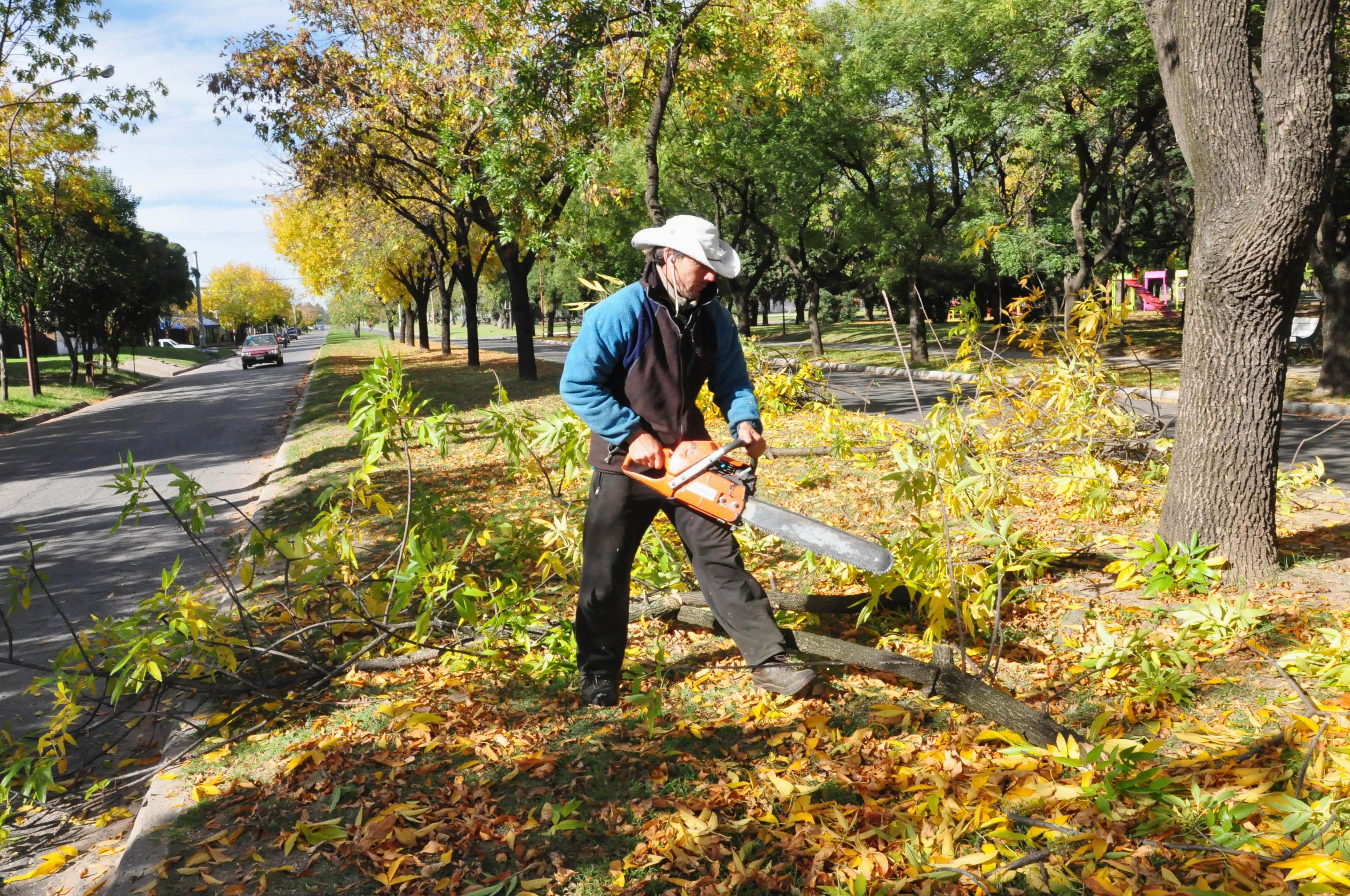 El Municipio realiza un Operativo de Poda