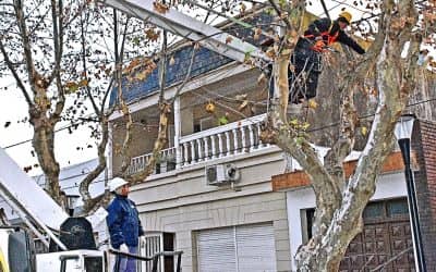 ESPACIOS VERDES DICTARÁ UN CURSO DE PODA TEÓRICO-PRÁCTICO EL VIERNES 10 DE MAYO EN EL CENTRO CIVICO