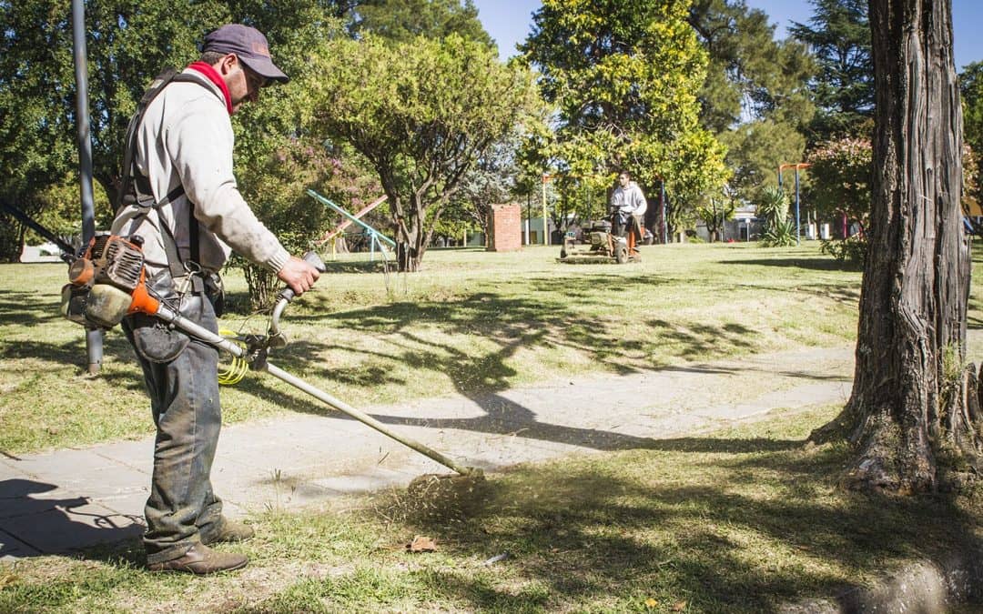 ESPACIOS VERDES: NUEVO ESQUEMA DE TRABAJO PARA EL CORTE Y EL MANTENIMIENTO DE CESPED EN LA CIUDAD