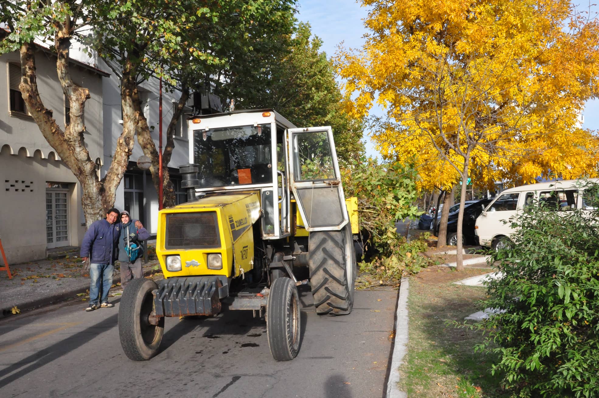 Continúan los trabajos de Poda