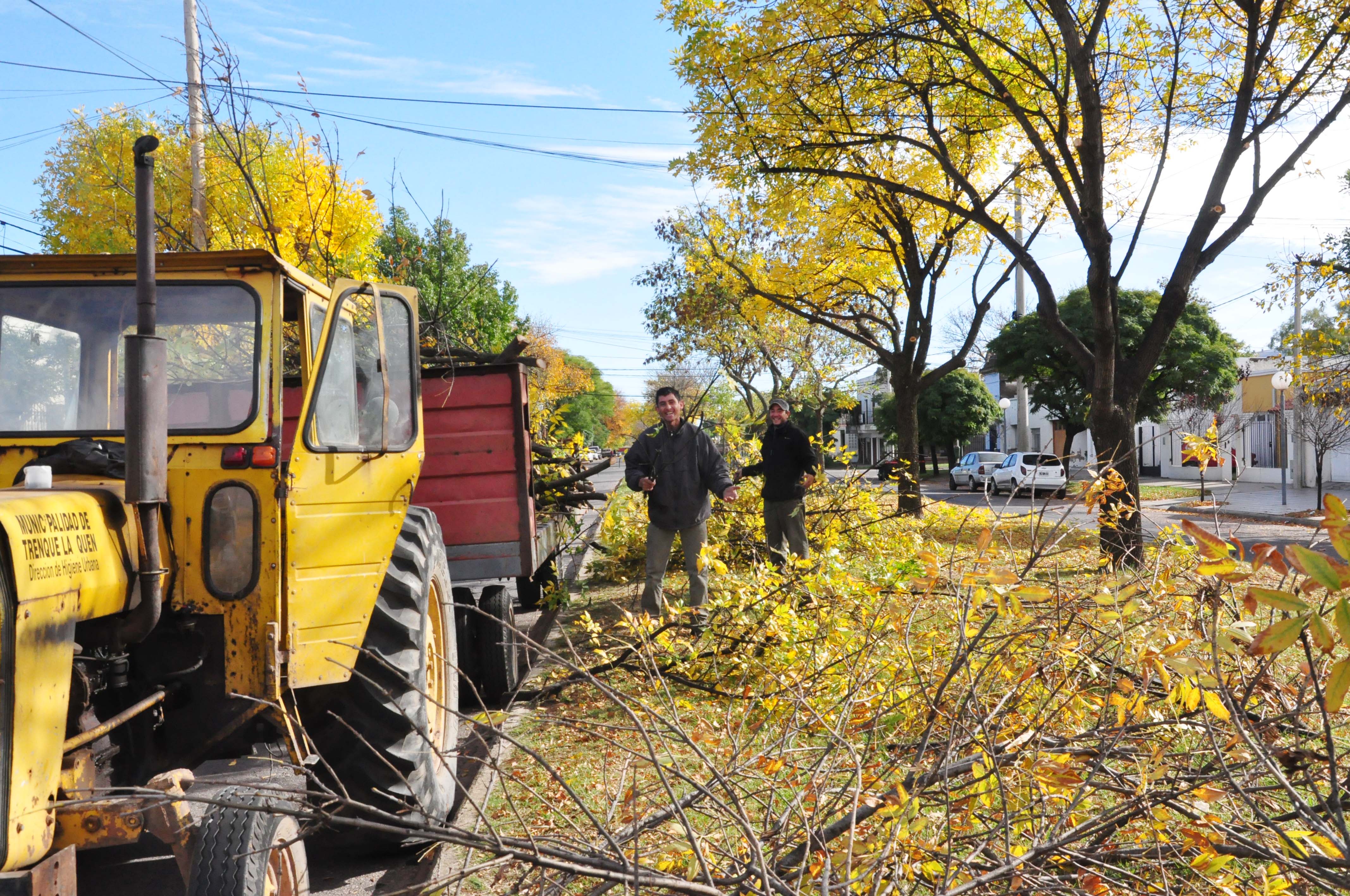 Continúan los trabajos de Poda