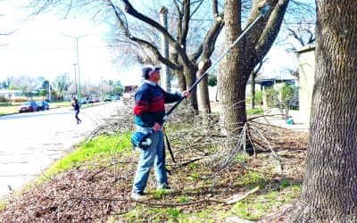 No se pueden realizar más trabajos de poda