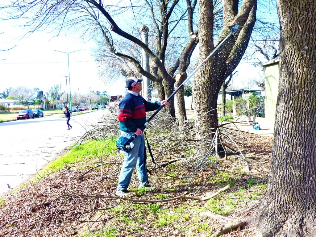 Última semana para solicitudes de poda