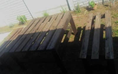 ENTREGARON MÁS PREMIOS DEL CONCURSO DE FOTOGRAFÍAS “ESTA PRIMAVERA, MI RINCÓN FLORIDO DE LA CIUDAD ES…”