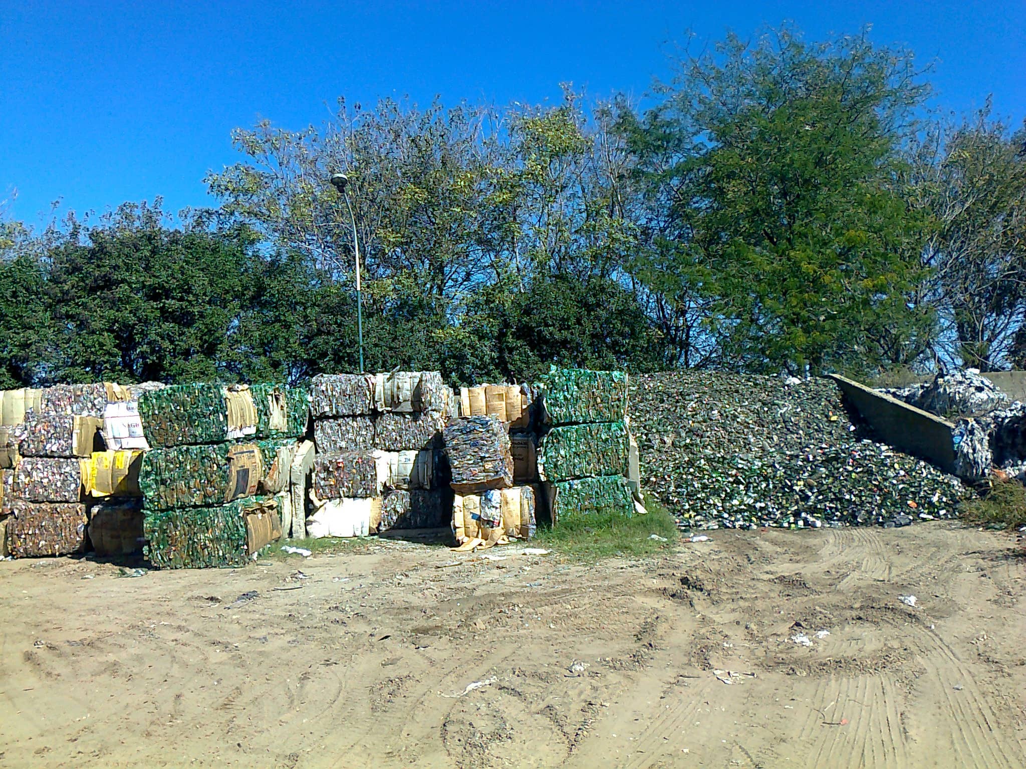Resultados de la investigación del CEAMSE en el PROLIM