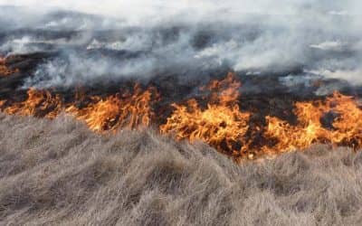 Solicitan cuidados básicos para evitar incendios