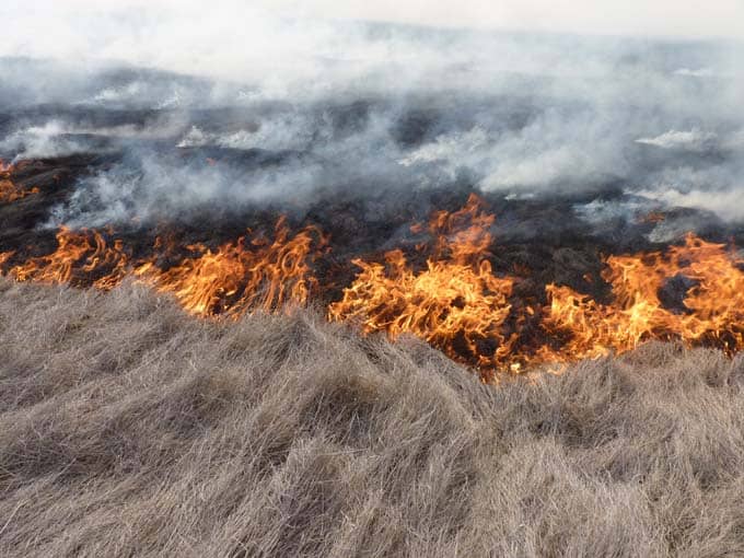 Solicitan cuidados básicos para evitar incendios