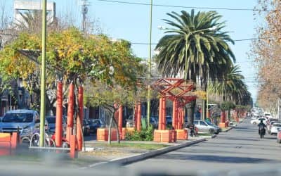 Se utilizará un repelente para aves en el centro de la ciudad