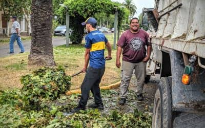 CUADRILLAS DE PERSONAL MUNICIPAL LIMPIAN LAS CALLES DE LA CIUDAD DESDE MUY TEMPRANO, TRAS EL TEMPORAL