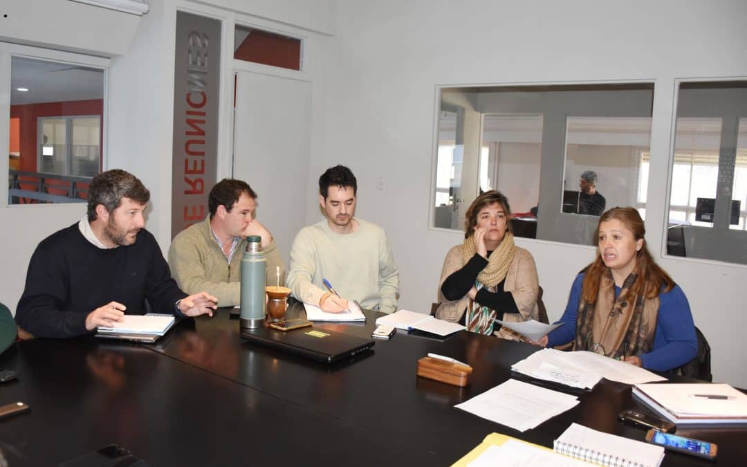 Actividades realizadas por el Consejo Asesor de Ambiente durante el año