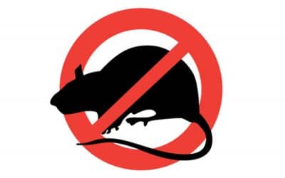 Relevamiento sobre presencia de roedores