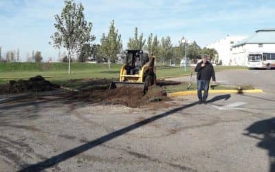 Se realizan dos rotondas y una dársena en el Polideportivo Municipal