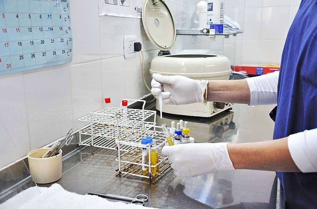 En 2016 los CAPS realizaron más de 79 mil prestaciones