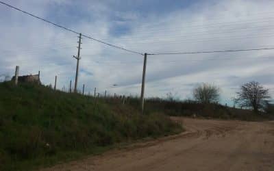 Se realiza siembra ecológica aérea en zona de exclusión