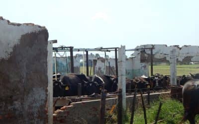 Se declaró el estado de emergencia para parcelas afectadas por tornado e inundaciones