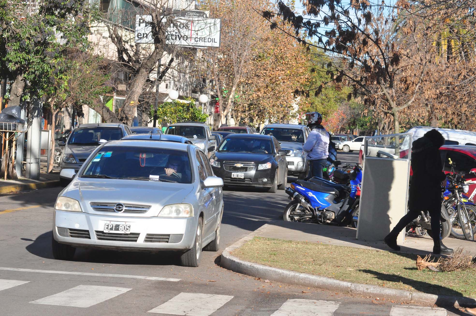 tránsito realiza 500 licencias de conducir por mes