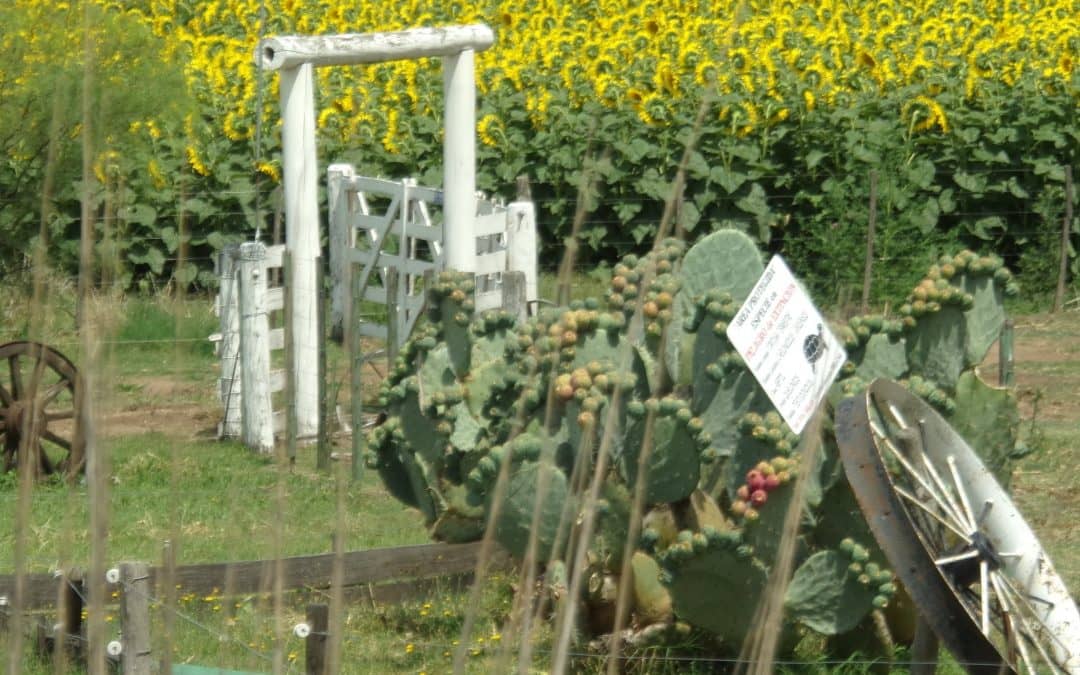 Se concretó la primera jornada de turismo rural