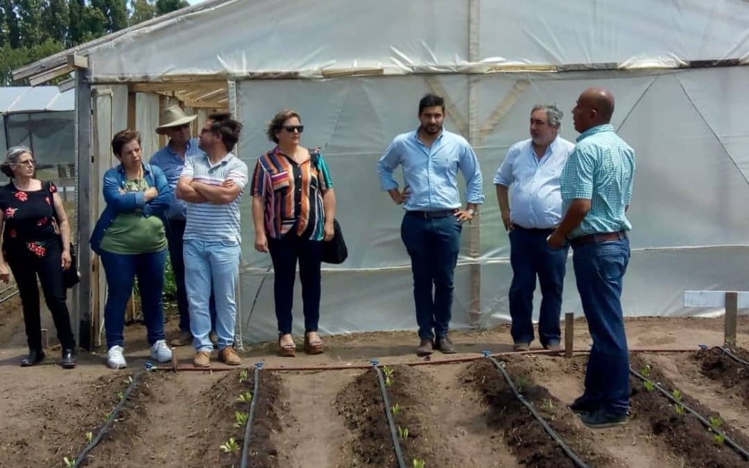 QUEDO INAUGURADA EN 30 DE AGOSTO LA SEGUNDA UNIDAD FRUTIHORTÍCOLA DEL DISTRITO: EL TRÉBOL
